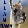 Llama Rama